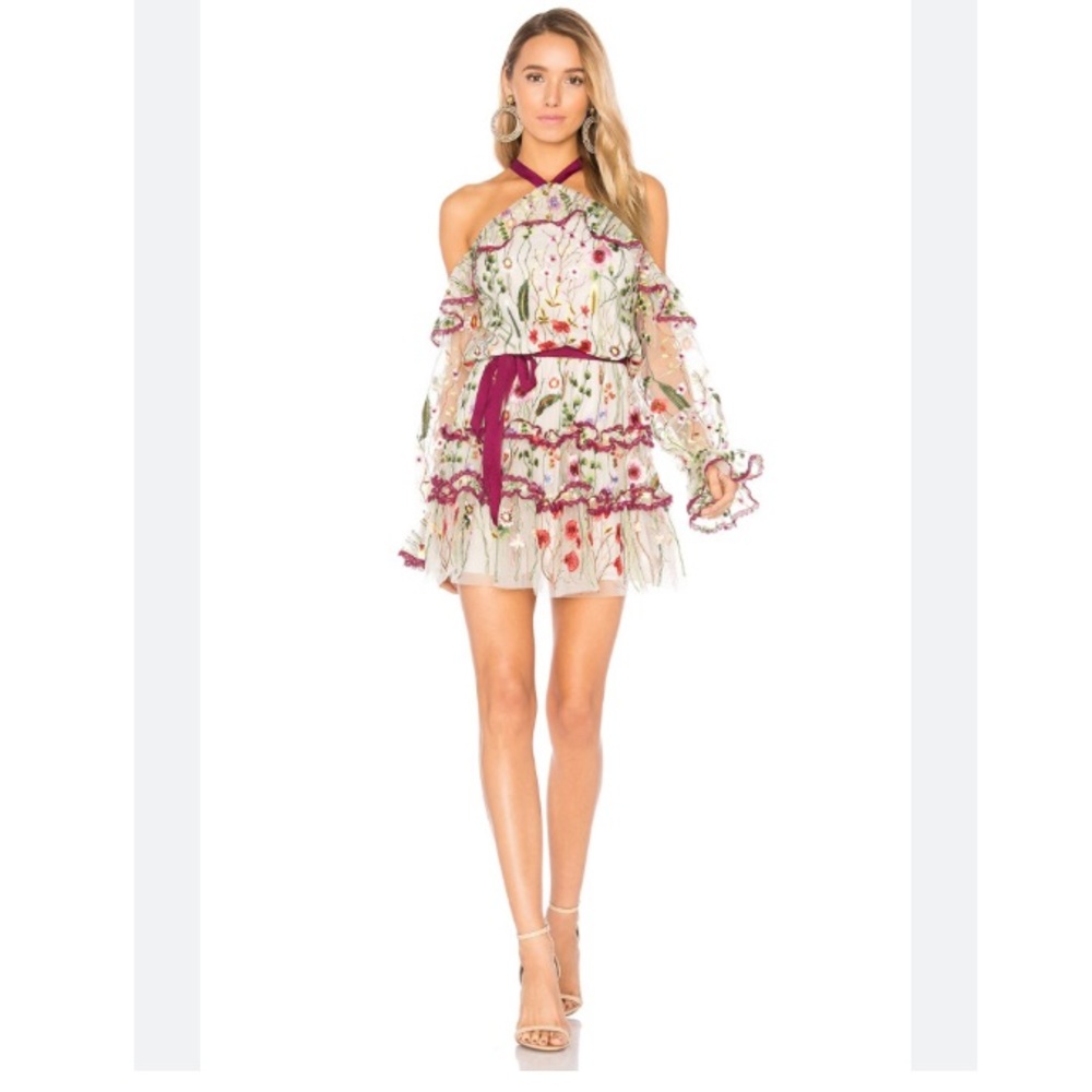 Alexis Adeline Embroidered Floral Short Dress in Ivory Garden - Picture 2 of 10